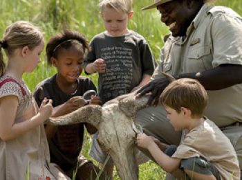 TvA International Foundation - Help Save A Soul