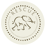 TvA International Foundation