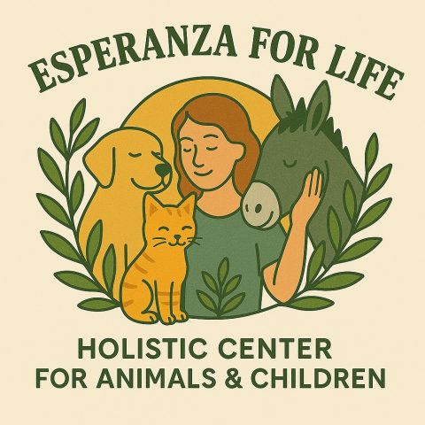 TvA International Foundation