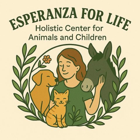 TvA International Foundation