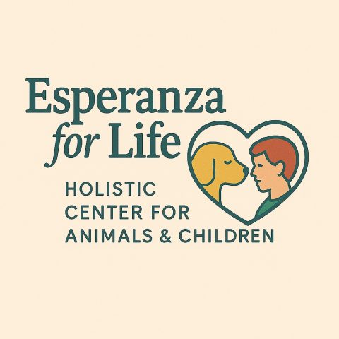 TvA International Foundation