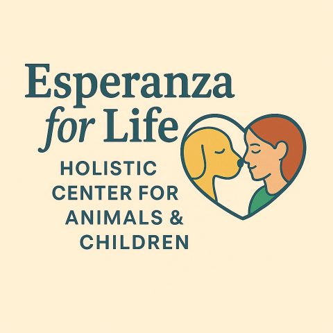 TvA International Foundation