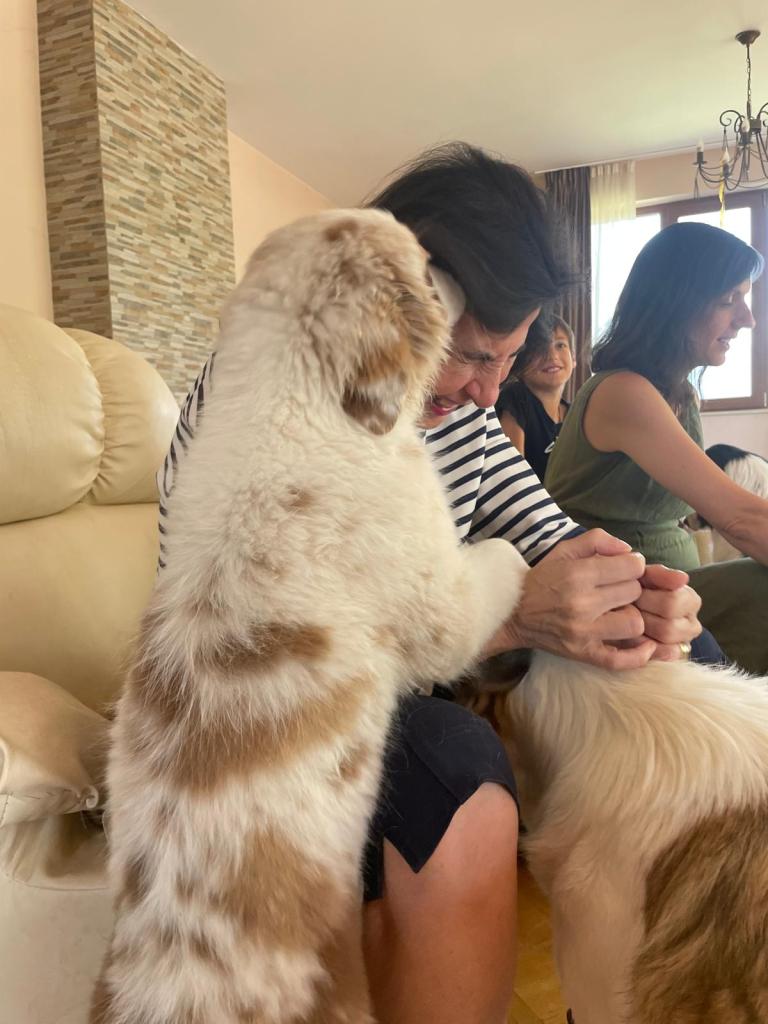 TvA International Foundation