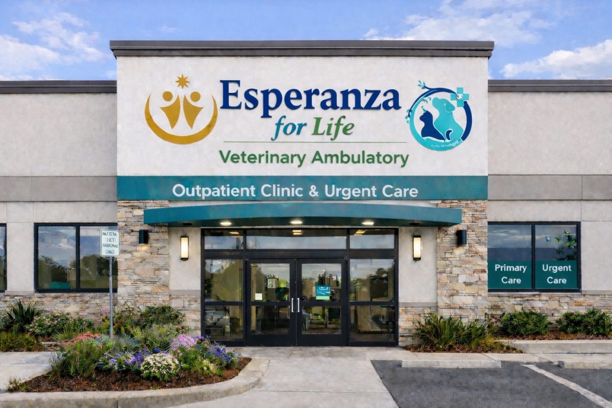 TvA International Foundation