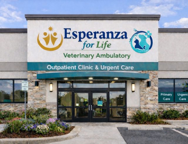 TvA International Foundation