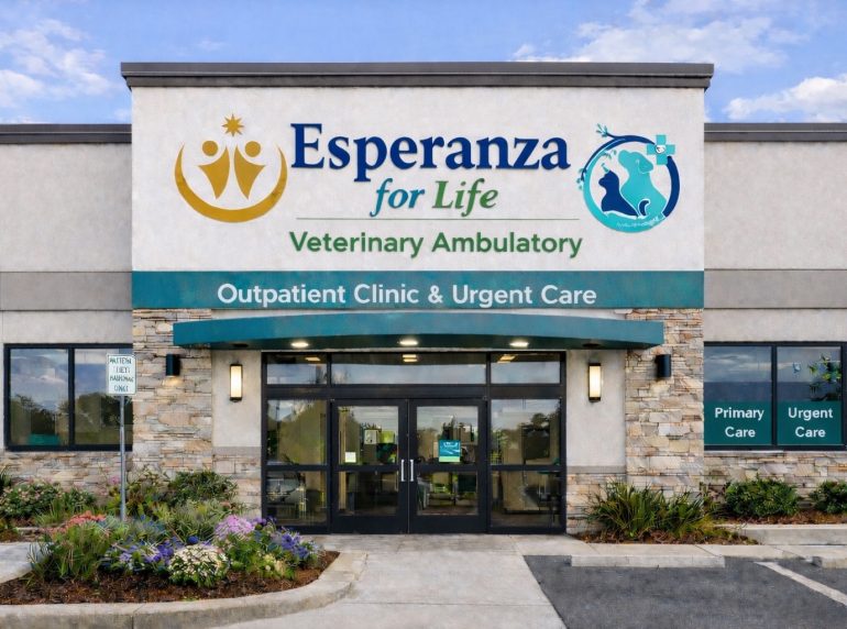 TvA International Foundation