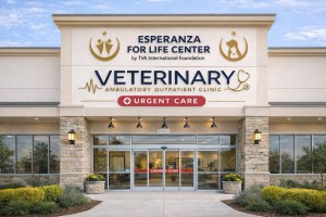 TvA International Foundation