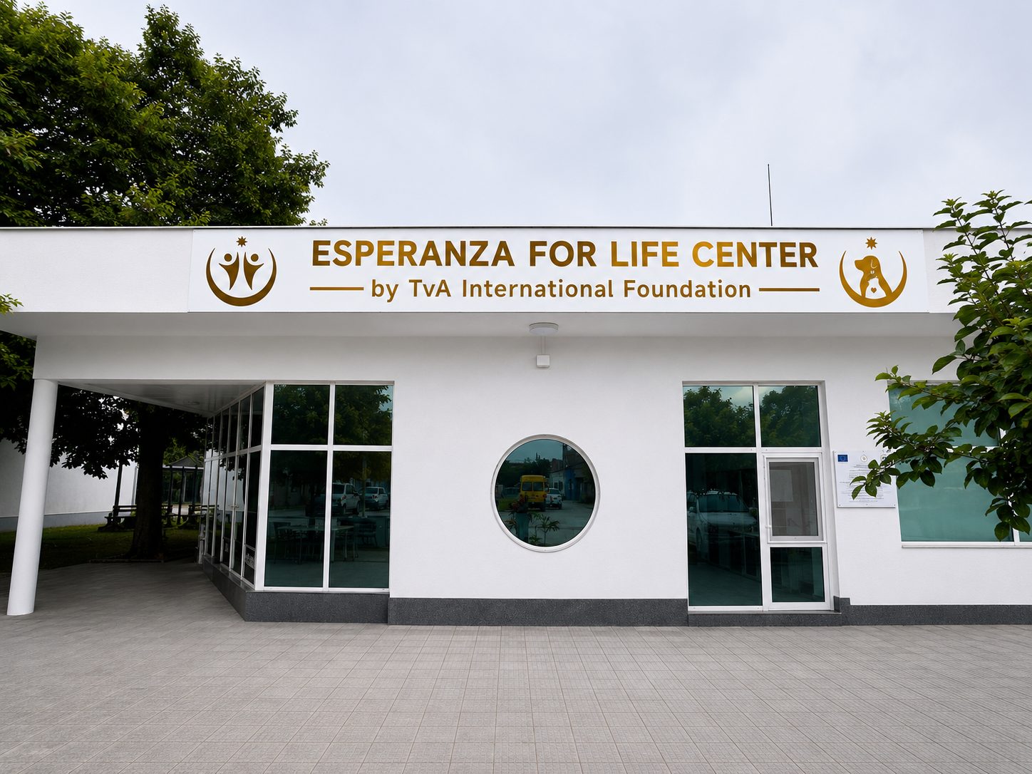TvA International Foundation