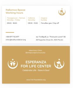 TvA International Foundation