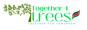 TvA International Foundation