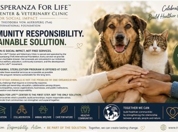 TvA International Foundation